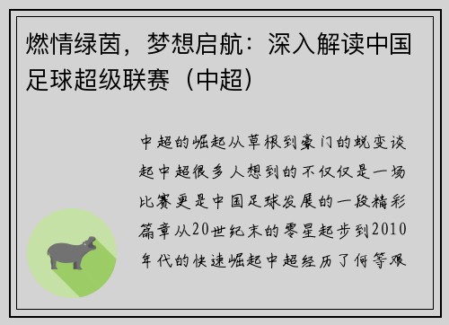 燃情绿茵，梦想启航：深入解读中国足球超级联赛（中超）