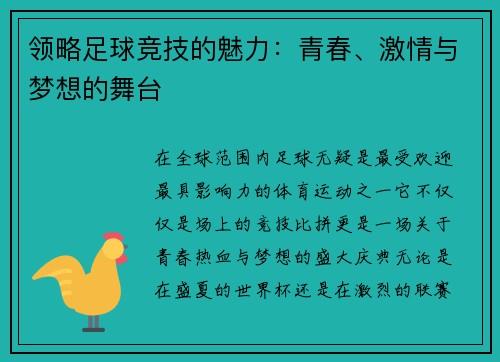 领略足球竞技的魅力：青春、激情与梦想的舞台
