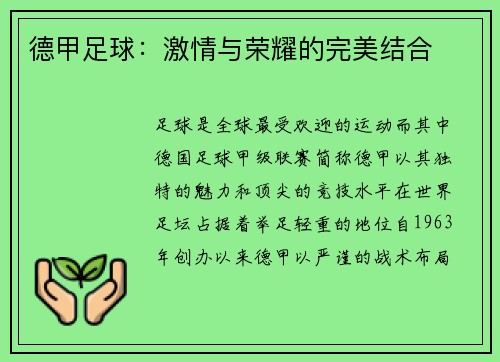 德甲足球：激情与荣耀的完美结合