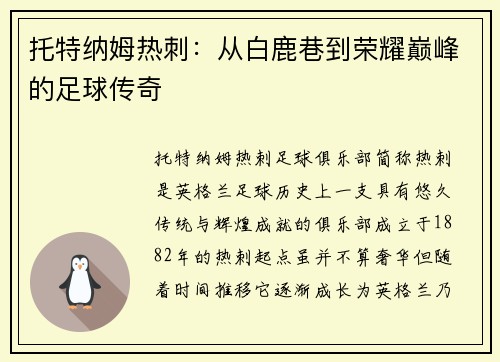 托特纳姆热刺：从白鹿巷到荣耀巅峰的足球传奇